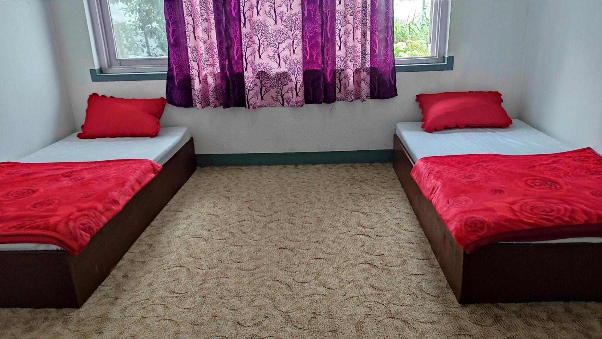 Budget Backpackers Hotel Lalitpur Exteriér fotografie