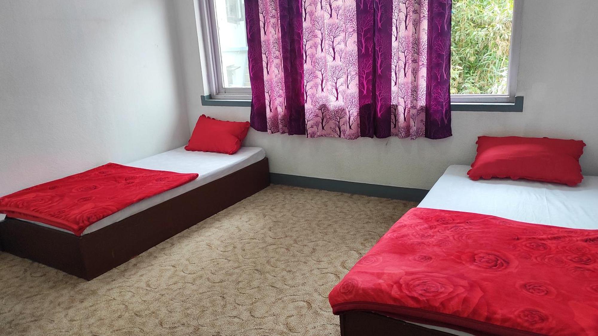 Budget Backpackers Hotel Lalitpur Exteriér fotografie